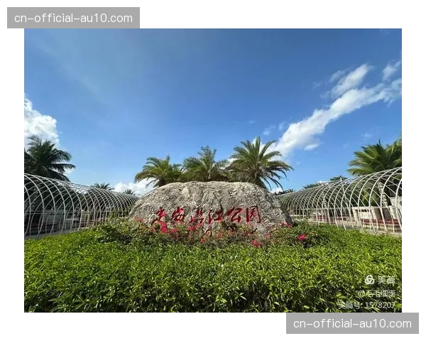 定安沿江公园灯光球场在海南球迷心中留下无数经典“名场面”